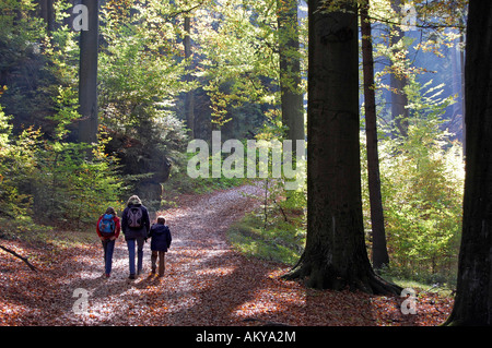 Femme et enfants de la randonnée à travers la forêt, la Saxe, Allemagne Banque D'Images