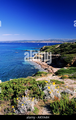 La France, Var, iles des Embiez, Allemand plage, côte ouest de l'île, Bandol et Sanary dans l'arrière-plan Banque D'Images