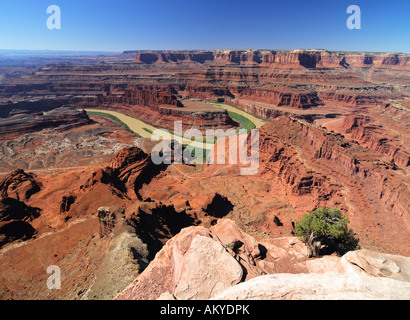 Vue depuis le Dead Horse Point State Park sur la rivière Colorado, Utah, USA Banque D'Images