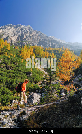 Randonnée femme en face de l'Elferkofel Fischlein, vallée, Sextener Dolomites Tyrol du Sud, Italie, Banque D'Images