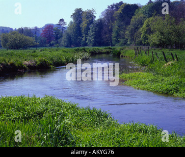 Dans Brockenbridge rivière Meon Hampshire Angleterre peuvent Banque D'Images