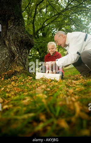 Allemagne, Bade-Wurtemberg, montagnes souabes, grand-père et sa petite-fille à la recherche de champignons dans la forêt, portrait Banque D'Images