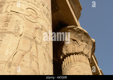 Du temple d'Horus - temple le mieux conservé d'Egypte. plante (C) Rainer F. Steussloff/intro : Banque D'Images