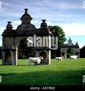 La marche du bétail dans le parc du manoir anglais Holdenby House Banque D'Images