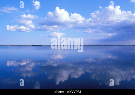 Les nuages reflètent dans Lake National Wildlife Refuge à Agassiz au Minnesota Banque D'Images