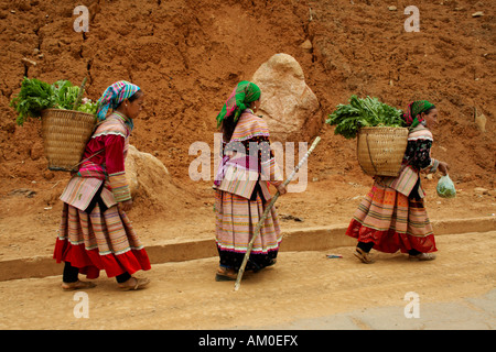 Les femmes de la tribu de Colline Flower Hmong de retour de marché, peuvent cau, Vietnam Banque D'Images