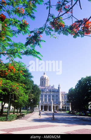 Museo de la Ciudad de la Habana - Musée de la Ville et Palais Présidentiel Banque D'Images