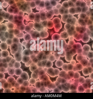 Une grande image reconstruite de bactéries ou de cellules sous un microscope Banque D'Images