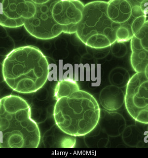 Une grande image de fond de cellules ou de bactéries sous le microscope Banque D'Images