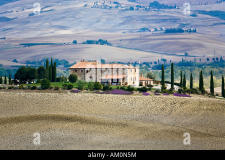 Avec des cyprès (Cupressus) Maison de campagne bordée d'arbres dans la vallée Val d'Orcia Crete Toscane Italie Banque D'Images