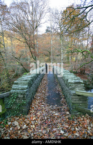 Pont de pierre sur la rivière Brathay près de Ambleside 'Lake District National Park' Cumbria UK Banque D'Images
