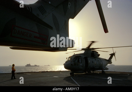 Un hélicoptère Merlin de la Marine royale britannique de 814 Naval Air Squadron opérant à partir de la Flotte royale auxiliaire à Fort Victoria Banque D'Images