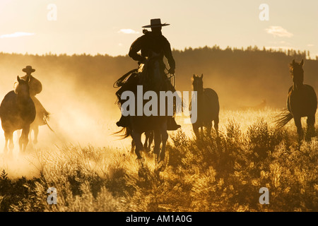 Cowboys à cheval au coucher du soleil, de l'Oregon, USA Banque D'Images