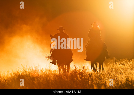 Cowboys à cheval au coucher du soleil, de l'Oregon, USA Banque D'Images