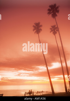 Couple assis sur un banc sous les palmiers au coucher du soleil à Laguna Beach en Californie Banque D'Images