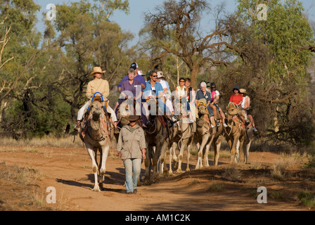 Camel safari, Alice Springs, Territoire du Nord, Australie Banque D'Images