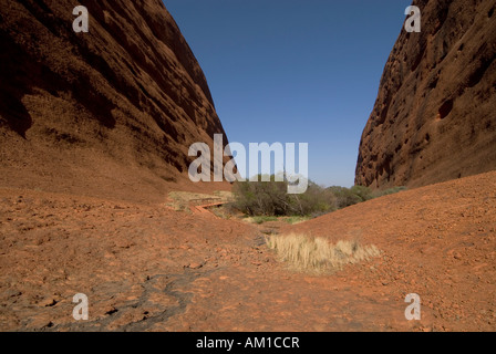 Olgas, Uluru - Kata Tjuta Nationalpark, Yulara, Ayers Rock, Territoires du Nord, Amérique, Australie Banque D'Images