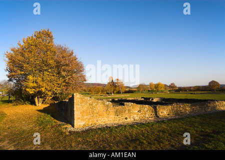 Vestiges d'un mur roman domaine près de Schlatt am Randen, Hegau, Constance district, Bade-Wurtemberg, Allemagne Banque D'Images