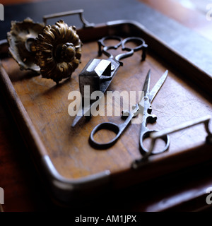Essayez d'afficher anciens en bois et laiton antique rosette ciseaux poignée de porte Banque D'Images
