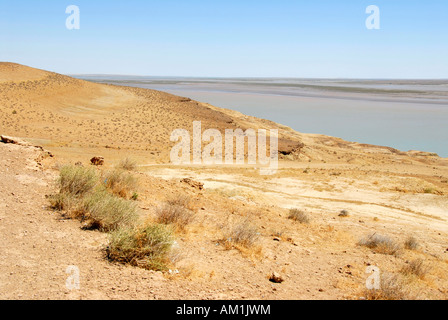Rive du fleuve Amou-daria à Kyzyl Kum désert l'Ouzbékistan Banque D'Images