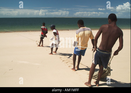 Fisherman travaillent dur pour tirer dans les filets de pêche au large de la côte de Linga Linga, Inhambane, Mozambique, Afrique du Sud. Banque D'Images