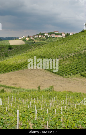 Campagne vallonnée entre Asti et Alba Langhe Piemonte Piemonte Italie Banque D'Images