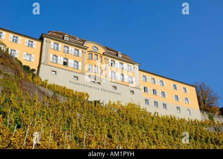 Domaine viticole national Meersburg, Lac de Constance, Bade-Wurtemberg, Allemagne, Europe. Banque D'Images