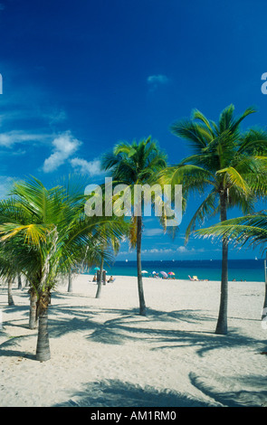 États-unis Floride Fort Lauderdale Banque D'Images