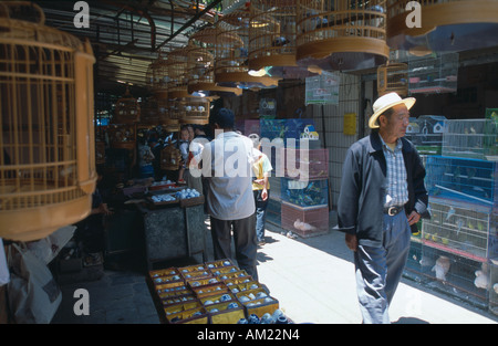 Chine Yunnan Kunming Banque D'Images