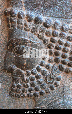 Guerrier perse Xerxès en secours Iran PERSEPOLIS palace Banque D'Images