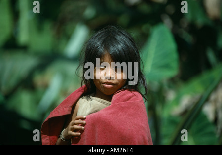 Colombie Sierra Nevada de Santa Marta Enfants Banque D'Images