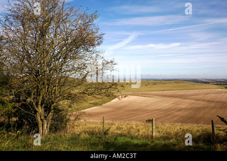 Vue de Ivinghoe beacon Banque D'Images