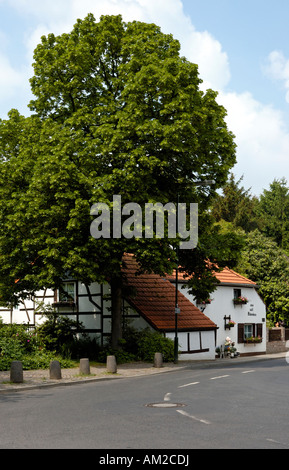 Maison Blanche et arbre sur virage de la route, de l'Allemagne. Banque D'Images