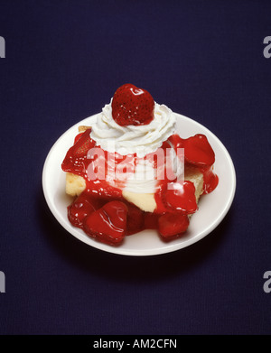 Partie de service à dessert gâteau de célébration livre Banque D'Images