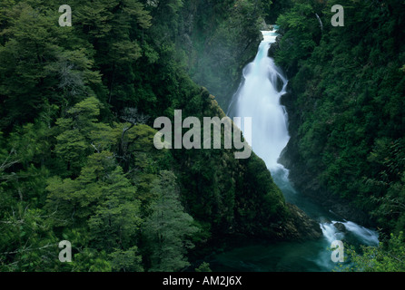 L'ARGENTINE, le Parc National Lanin, Andes humides Valdivian forêt, rivière, cascade Chachin Queni. Banque D'Images