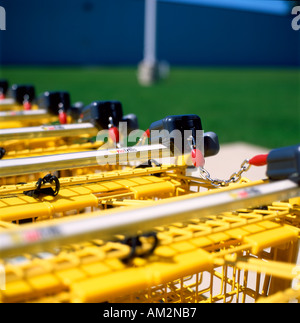 Détail de caddies jaune à l'extérieur No Frills supermarché, Canada Banque D'Images