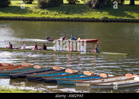 La formation des rameurs sur la tamise, molesy surrey go Banque D'Images