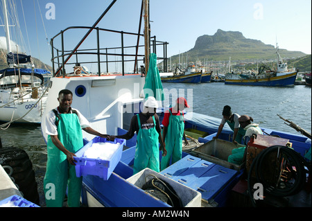 Les pêcheurs de Hout Bay sur la haute mer, le chargement de chalutiers réfrigérés, Cape Town, Afrique du Sud Banque D'Images