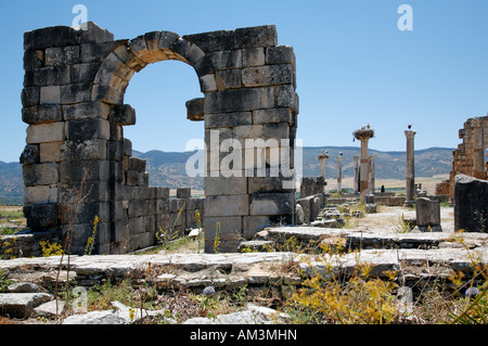 Vestiges de Volubilis, ancienne ville carthaginoise au Maroc Banque D'Images