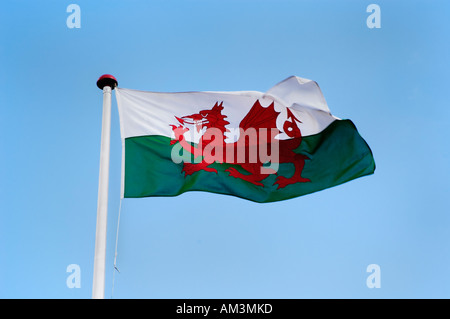 Un drapeau gallois au Pays de Galles dans le vent Banque D'Images