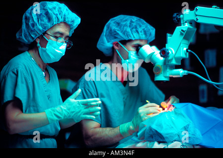 HONDURAS MISSION BÉNÉVOLE MÉDECINS EFFECTUER LA CHIRURGIE DE LA CATARACTE DANS UNE CLINIQUE À DISTANCE Banque D'Images