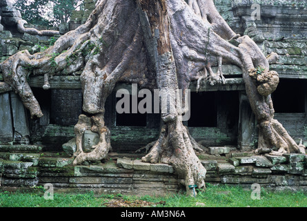 Preah Khan Banque D'Images