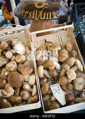 Cèpes en vente sur un marché en Italie Banque D'Images