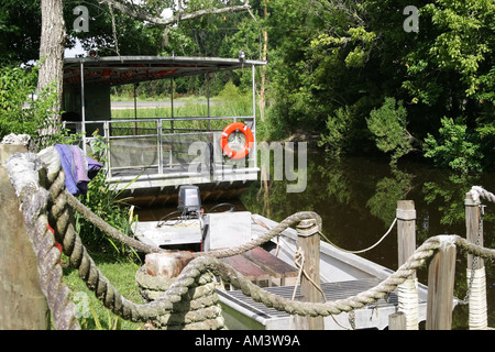 Bayou en Louisiane avec alligators Banque D'Images