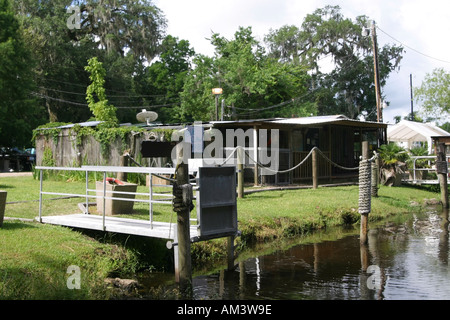 Bayou en Louisiane avec alligators Banque D'Images