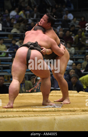 Les lutteurs de sumo typique aux prises dans un combat à la pose classique tournoi de printemps en Asie Japon Osaka Kansai Banque D'Images