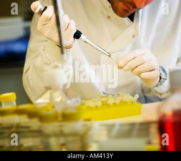 Le travail en laboratoire de recherche essais cliniques les essais. Le modèle ne libération requise comme personne méconnaissable, face coupée dans shot Banque D'Images