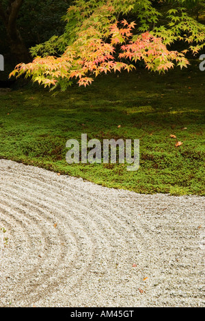 Jardin zen japonais de Kyoto Banque D'Images