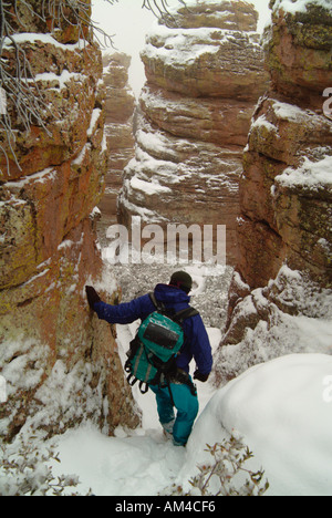Randonnées dans Chirichahua Wilderness Park en hiver. Chirichahua Park est connu pour ses piliers et l'équilibre entre les roches. Banque D'Images