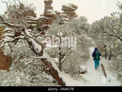 Randonnées dans Chirichahua Wilderness Park en hiver. Chirichahua Park est connu pour ses piliers et l'équilibre entre les roches. Banque D'Images